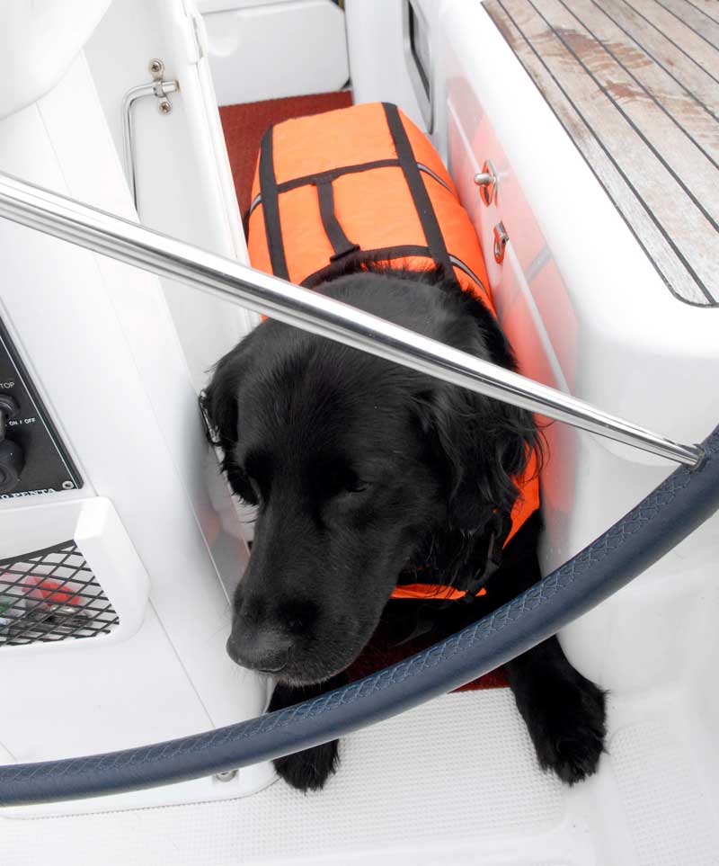 Bildet viser hvordan hund i båt liker å ha en fast plass
