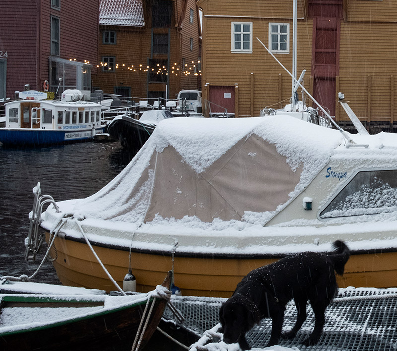 Bildet viser en båt med kalesje om vinteren.